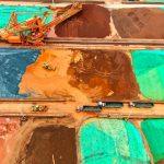 YouTube to pay $24 million to settle Trump lawsuit