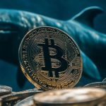 Satoshi-Era Bitcoin Miner Moves $203 Million to Trading…